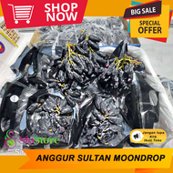 ANGGUR SULTAN Anggurnya Para Sultan Anggur Moondrop Jari Merah Hitam Hijau Manis Australi Leci & Per