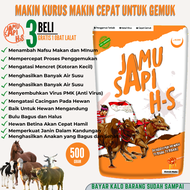 Jamu ternak hs vitamin penambah makan sapi kambing domba kerbau kuda jamu pmk