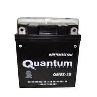 Quantum Motorcycle Battery (5L)