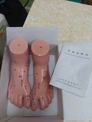 保健足模型