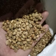 Sujakopi Greenbean 1Kg Robusta Dampit Biji Kopi Mentah