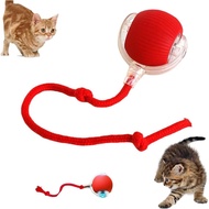 InteractiveToyBalls, Interactive Toy Ball, Indoor Interactive Toy Ball 2026NewMotionActivatedBallw 0