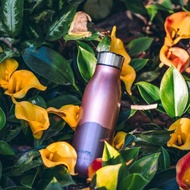 01LIV不銹鋼雙層保溫杯 500ml節日香槟金真空保溫瓶泡茶杯茶濾