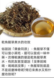 💯乾魚腥草煮水中，魚腥草性質寒涼，適量喝可以幫助降低人體火氣，具有一定清熱解毒的作用，對於體質燥熱的人羣來說，是比較好的。

🙏利尿通便
魚腥草中含有大量的維生素、纖維素以及多種礦物質成分，藥用價值以