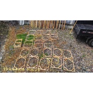 Large Wooden Stretcher 100 Pieces 100 & 60 x 120 cm Frame/ Canvas Painting Frame/