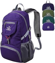 WATERFLY Small Lightweight Packable Backpack: 20l Ultra Light Foldable Travel Hiking Camping Daypack