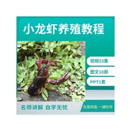 Crayfish PPT