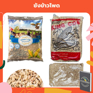 ซังข้าวโพด GIANT COB และ KING COB วัสดุรองรังนก วัสดุรองรังสัตว์เลี้ยง วัสดุรองพื้นนก วัสดุรองพื้นสั