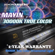 **NEW** Mayin True Ornamental Light for MGBB & gold arowana blue and white 30000K classic blue backg
