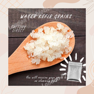 Active Water Kefir Grains (Export Quality + Workshop + Guidance by Professional)