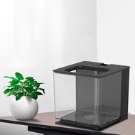 ถัง Meowhouse Betta ชัดเจนการมองเห็นที่ชัดเจนสัตว์เลื้อยคลานสีดำ