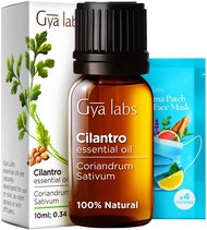 Gya Labs Cilantro Essential Oil Diffusers - Cilantro Oil for Skin - Cilantro Oil for Aromatherapy Oi