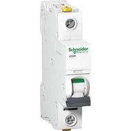 MCB IC60N 6KA 1PHASE 2A A9F74102 SCHNEIDER