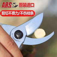 ars 剪刀的價格推薦 - 2026年1月 | BigGo格價香港站