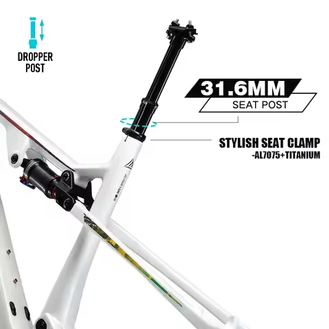 Lexon Riot Carbon XC MTB Frame Full Suspension 29er Boost Trunnion for Xfusion/Rockshox Frameset Par