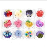 日本 green ocean 乾花 uv膠材料 uv resin dried flowers DIY Japan