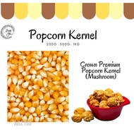 Crown Premium Pop Corn Kernel (Mushroom) 爆米花颗粒
