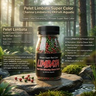 Pelet Limbata Super Color RKFish Aquatic Pakan Channa Limbata