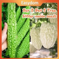 White Apple Bitter Gourd Seeds green-skinned bitter gourd seeds Pack High Germination Nutrient-Rich