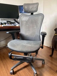 Sihoo M57 Ergonomic Executive Office Chair