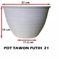WHITE WASP POT SIZE 21 CM