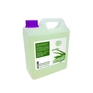 ♞Green Leaves Concentrated Pandan Flavor Essence 500g