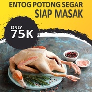 Entok Potong Fresh - Daging Entok - Bebek Entok - Nila Potong / Hidup