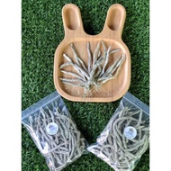 Timothy Grass Flowers