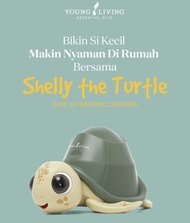 Shelly the Turtle Diffuser