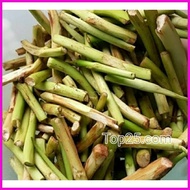☌ ♠ Takway, Taro Shoots(Daludal) long root of taro used as vegetables.