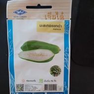 benih betik sekaki...f1 hybrid dari thailand cap chia tai..ada 10seed