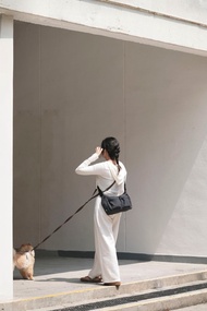 WALK BAG 2.0 遛狗外出包 寵物袋 - 深灰色