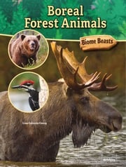 Boreal Forest Animals Cocca