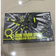 Bandai High Grade HG Mobile Suit Gundam Rising Freedom Recirculation Color/Neon Yellow Gunpla-Kun Th