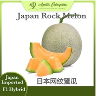 *NEW* 3 seeds Japan Rock Melon 日本网纹蜜瓜 Imported from Japan Genuine and Premium Seeds