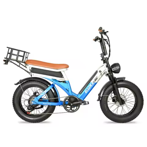 BAOLUJIE DP-2033 48V30Ah battery City Commuter Electric Bike 1200-2000W Motor Electric bicycle 20inc