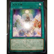 The Weather Forecast ( DIFO ~ R )