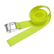 Astro Products 25mm 2m 100kg/Cam Buckle Tie Down Belt CT162