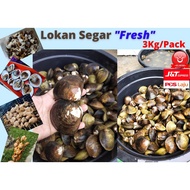 Lokan Segar Fresh 2.9KG