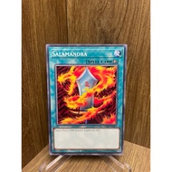 YU-GI-OH (Yu-Gi-Oh Card Genuine ) Salamandra