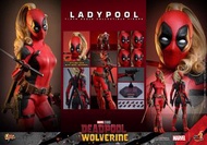 現貨 全新 Hottoys Ladypool 女死侍 deadpool & wolverine 狼人死侍 1/6 hot toys