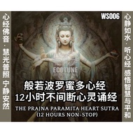 【般若波罗蜜多心经 Heart Sutra】•12 Hours Non-Stop• USB Pendrive MP3 车载音乐U盘 Car Audio HQ READY STOCK | WS006