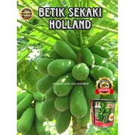 10 pcs Biji Benih Betik Sekaki Holland/ Premium Papaya Seeds AGA Horti RED KNIGHT Holland Type Carica Papaya