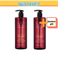 CURLY SHYLL After Salon Care Shampoo (Normal Damage Hair / Extreme Damage Hair) 500 ml