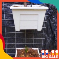 2pcs white mini pot 12cm x 12cm small hanging pot utk pokok sup