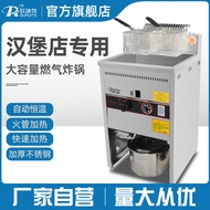 Gas Fryer Fryer Fried Chicken Burger Shop Standing Commercial Fryer Temperature Control Gas Fryer Co