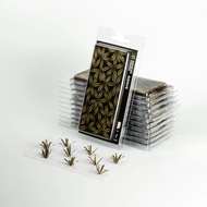 Gamers Grass - GGLP-AG - Laser Plants Agave