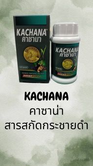 KACHANA กระชายดำสกัด+ สมุนไพรบำรุงผู้ชาย 60เม็ด