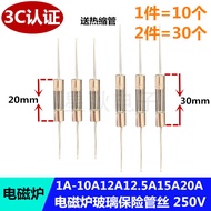 Induction Cooker Glass Fuse Tube Wire 5 * 20MM 10A 15A250V 12A 12.5A 6 * 30 with Lead Pin