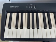 ROLAND FP10